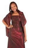 Beautiful African American Lady Stock Photography Beautiful African American Lady Stock Photography