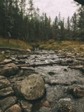 Beautiful Altai mountains. September 2018 stock photography Beautiful Altai mountains. September 2018 stock photography