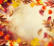 Beautiful autumn background with flying falling colorful leaves and bokeh stock images Beautiful autumn background with flying falling colorful leaves and bokeh stock images