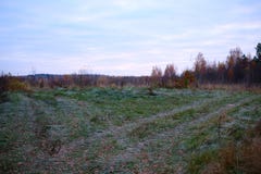 Beautiful autumn evening in the nature. stock photography Beautiful autumn evening in the nature. stock photography