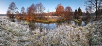 Beautiful autumn morning panorama with frosty grass, small river, falling trees and blue sky.