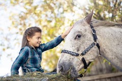 In a beautiful Autumn season of a young girl and horse royalty free stock photography In a beautiful Autumn season of a young girl and horse royalty free stock photography