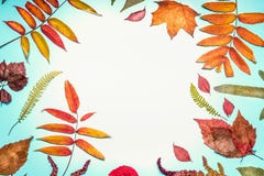 Beautiful autumn seasonal composing or border made with various colorful fall leaves on turquoise blue background, top view Stock Photography Beautiful autumn seasonal composing or border made with various colorful fall leaves on turquoise blue background, top view Stock Photography
