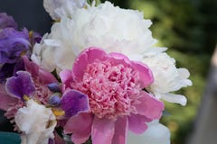Beautiful back yard boquet with peony and oriental lily royalty free stock image Beautiful back yard boquet with peony and oriental lily royalty free stock image