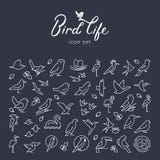 Vector flat birds icon set in thin line style. Simple minimalistic bird logo. Birds icon, animal sign, symbol isolated on stock illustration Vector flat birds icon set in thin line style. Simple minimalistic bird logo. Birds icon, animal sign, symbol isolated on stock illustration