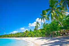 Beautiful Beach In Saint Lucia Stock Images Beautiful Beach In Saint Lucia Stock Images