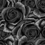 Beautiful black and white monochrome seamless pattern in roses with contours vector illustration Beautiful black and white monochrome seamless pattern in roses with contours vector illustration
