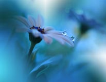 Beautiful Blue Nature Background.Spring Flower.Ocean Concept,water.Tranquil Abstract Closeup Art Photography.Floral Design.Plant. Stock Images