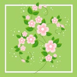 A beautiful bouquet for congratulations. Delicate branches of pink flowers. Spring background. Vector illustration vector illustration A beautiful bouquet for congratulations. Delicate branches of pink flowers. Spring background. Vector illustration vector illustration