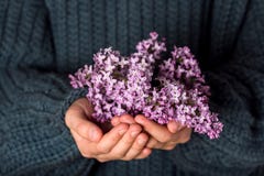 Beautiful bouquet of purple lilac flowers in girls hands. royalty free stock photos Beautiful bouquet of purple lilac flowers in girls hands. royalty free stock photos