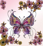 Beautiful Butterfly Image Stock Photography