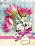 Beautiful card with bouquet of red tulips end other spring flowers with pink bow. Holiday floral background. Stock Image Beautiful card with bouquet of red tulips end other spring flowers with pink bow. Holiday floral background. Stock Image