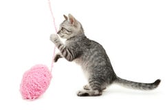 Beautiful cat with playing ball isolated on white background stock photos Beautiful cat with playing ball isolated on white background stock photos