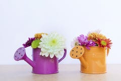 Beautiful chrysanthemums flowers in orange and purple water cans Stock Photography Beautiful chrysanthemums flowers in orange and purple water cans Stock Photography