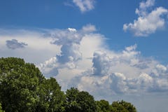 Beautiful cloudscape with lush green deciduous trees along bottom and left side - good for background or copy royalty free stock photos Beautiful cloudscape with lush green deciduous trees along bottom and left side - good for background or copy royalty free stock photos