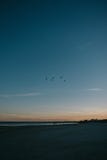 The beautiful coast of the sea with a couple of people walking around royalty free stock photography The beautiful coast of the sea with a couple of people walking around royalty free stock photography