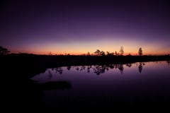 A beautiful, colorful, artistic landscape of a marsh in sunrise stock photos A beautiful, colorful, artistic landscape of a marsh in sunrise stock photos