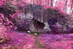 Beautiful and colorful fantasy landscape in an asian purple infrared photo style stock images Beautiful and colorful fantasy landscape in an asian purple infrared photo style stock images