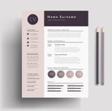 Beautiful CV / Resume template - elegant stylish design - dusty