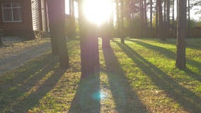 Beautiful decorated ornate home garden pathway with trees hedges grass. Lovely back yard on a Sunny day stock photo Beautiful decorated ornate home garden pathway with trees hedges grass. Lovely back yard on a Sunny day stock photo