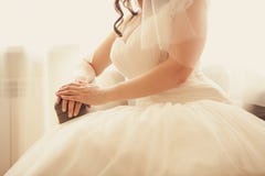 Beautiful and delicate royalty free stock photos Beautiful and delicate royalty free stock photos