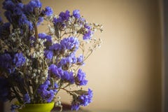 Beautiful dry flowers royalty free stock photography Beautiful dry flowers royalty free stock photography