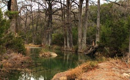 Beautiful early spring landscape in Texas. stock photos Beautiful early spring landscape in Texas. stock photos