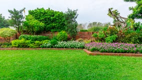 Beautiful English cottage garden, colorful flowering plant on smooth green grass lawn and group of evergreen trees