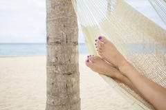 Beautiful female feet in a hammock on the beach royalty free stock photo Beautiful female feet in a hammock on the beach royalty free stock photo
