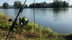 Beautiful Fish Pond. Fishing Rod. Waiting for Fish. Stock Footage