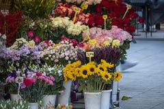 Beautiful flowers at the Cvijetni trg, famous square in the centre of Zagreb city where all sorts of flowers are sold daily
