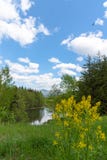 Beautiful forest mountain scenery at lakeside stock photography Beautiful forest mountain scenery at lakeside stock photography
