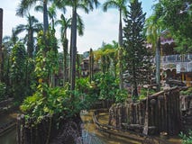 Beautiful Garden With Palm Trees In Shenzhen City Stock Image