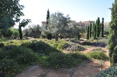 The beautiful Garden at The Resilience Limassol Cyprus