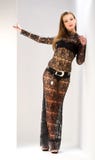 Beautiful Girl In Transparent Dress Royalty Free Stock Images Beautiful Girl In Transparent Dress Royalty Free Stock Images
