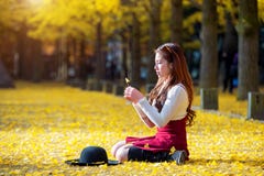 Beautiful Girl with Yellow Leaves in Nami Island, Korea. royalty free stock photography Beautiful Girl with Yellow Leaves in Nami Island, Korea. royalty free stock photography