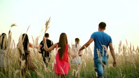 Beautiful girls and boys walking in the field - spikes in the sunset stock video Beautiful girls and boys walking in the field - spikes in the sunset stock video