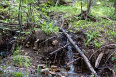 Small Waterfall Creates a Creek Through Lush Grass in Rocky Mountain National Park stock photo Small Waterfall Creates a Creek Through Lush Grass in Rocky Mountain National Park stock photo