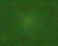 Beautiful Green Grass Texture Royalty Free Stock Photography Beautiful Green Grass Texture Royalty Free Stock Photography
