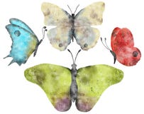 Beautiful Hand Painted Watercolor Butterflies Stock Photo