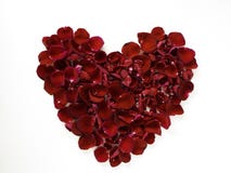 beautiful heart of red rose petals on white stock photos beautiful heart of red rose petals on white stock photos