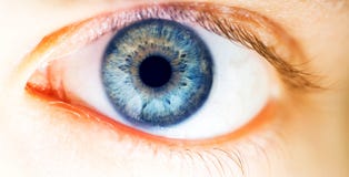 Beautiful human eye, macro, close up blue, yellow, brown, green Stock Photo Beautiful human eye, macro, close up blue, yellow, brown, green Stock Photo