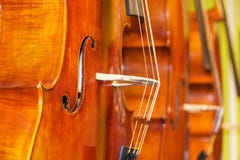 Beautiful image of brand new double basses standing upright in a row stock photos Beautiful image of brand new double basses standing upright in a row stock photos