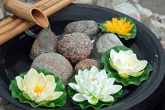 Beautiful Japanese Water Lilies With A Waterfall Stock Images Beautiful Japanese Water Lilies With A Waterfall Stock Images