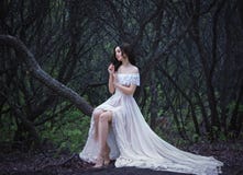 Beautiful lady in the woods stock photos Beautiful lady in the woods stock photos