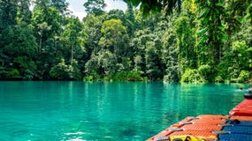 Beautiful lake with clear turquoise water surrounded by green vegetation. Labuhan Cermin, Berau, Indonesia