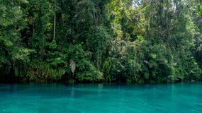 Beautiful lake with clear turquoise water surrounded by green vegetation. Labuhan Cermin, lBerau, Indonesia