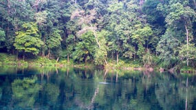 Beautiful lake and green lush forest
