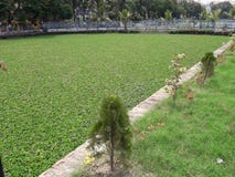 A beautiful lake view in Garden stock photos A beautiful lake view in Garden stock photos