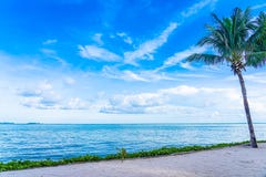 Beautiful Landscape Of Beach Sea Ocean With Coconut Palm Tree With White Cloud And Blue Sky Royalty Free Stock Image